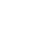 insect