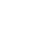lizard