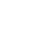 termite