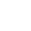 wasp